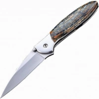 Полуавтоматический складной нож Santa Fe Kershaw Leek, сталь 14C28N, рукоять сталь с накладкой из зуба мамонта купить в Томске